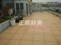 户型图-.jpg