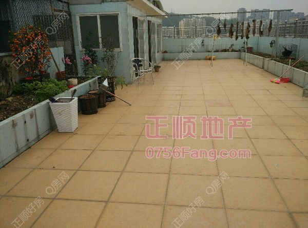 户型图-.jpg