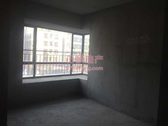 户型图-.jpg
