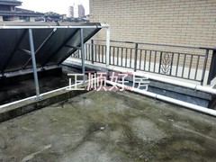 户型图-.jpg