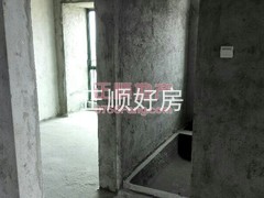 户型图-.jpg