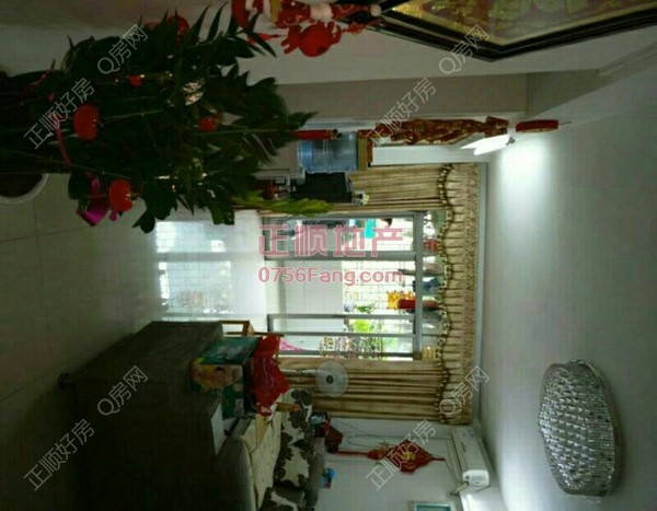 户型图-.jpg