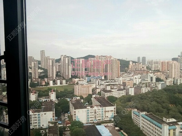 户型图-.jpg