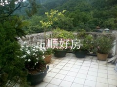 户型图-1.jpg