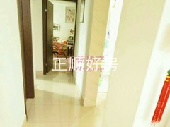 户型图-.jpg