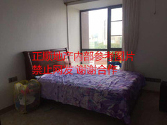 户型图-.jpg