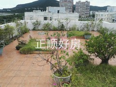 其它-顶楼花园.jpg