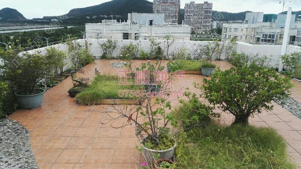 其它-顶楼花园.jpg