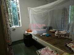 户型图-.jpg