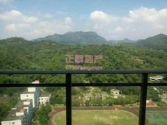 户型图-.jpg