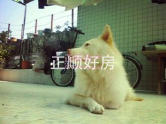 卧室-.jpg