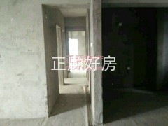 其它-.jpg