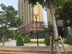 户型图-.jpg