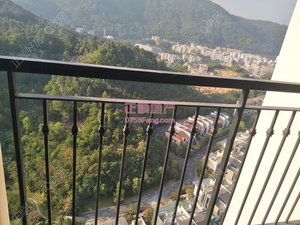 风景