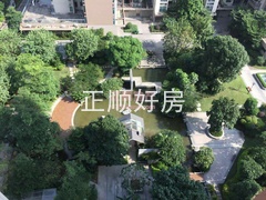 300621861109872911.jpg