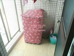 楼盘-.jpg