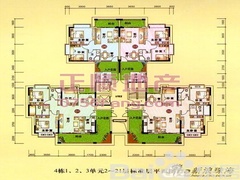 户型图.jpg