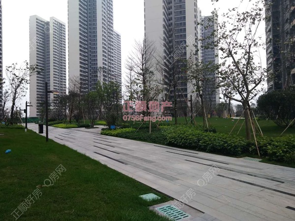 楼下小区环境