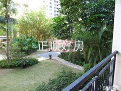 55.jpg