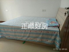 楼盘-.jpg