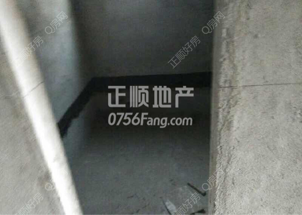 .jpg