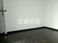 楼盘-.jpg