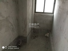 447555552.jpg