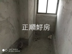 447555552.jpg