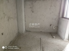 44558.jpg