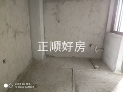 44558.jpg