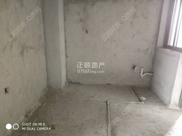 44558.jpg