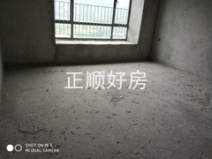 2852858.jpg