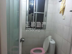 .jpg