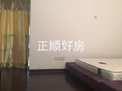 98270482522886543.jpg