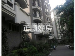 楼盘-.jpg
