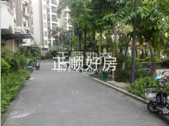 楼盘-.jpg