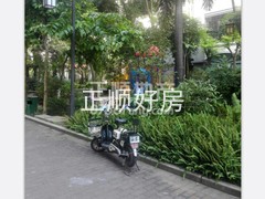 楼盘-.jpg