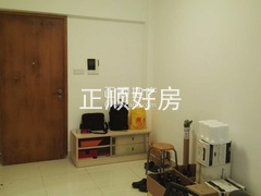 2345_image_file_copy_13.jpg