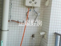 2345_image_file_copy_12.jpg