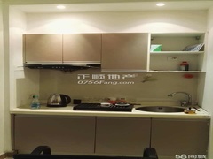 2345_image_file_copy_8.jpg