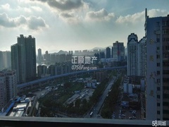 2345_image_file_copy_6.jpg
