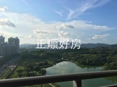 看湖景 山景