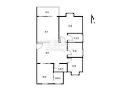 2345_image_file_copy_3.jpg