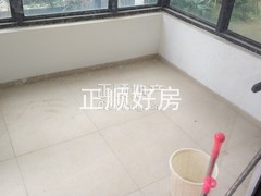 楼盘-.jpg