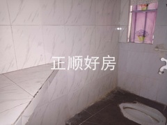 645366779.jpg