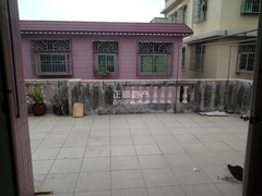 535905318.jpg