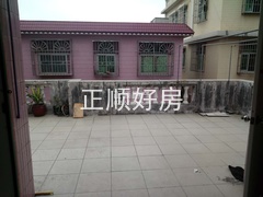 535905318.jpg