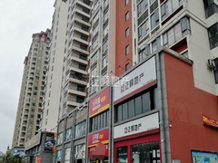中珠上品