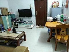 489737340.jpg