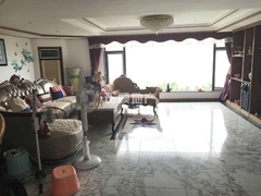 白玫瑰3.jpg